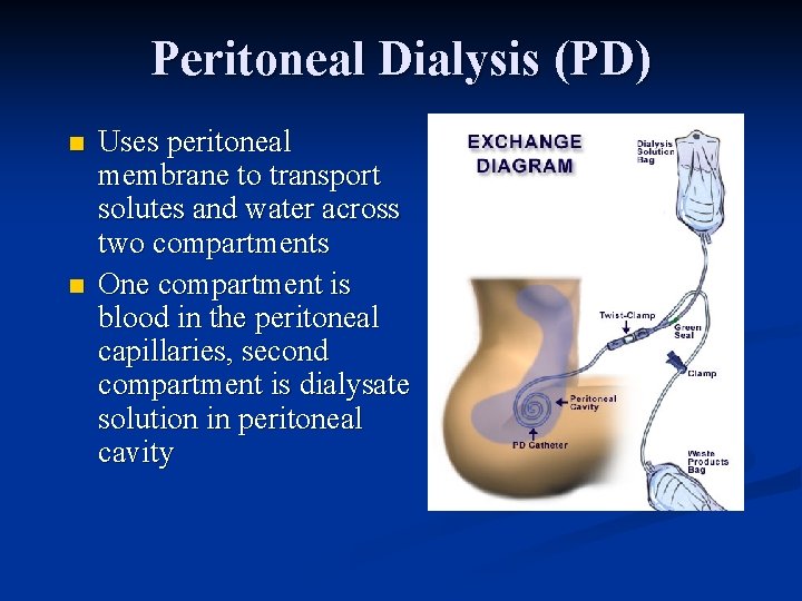 Peritoneal Dialysis (PD) n n Uses peritoneal membrane to transport solutes and water across