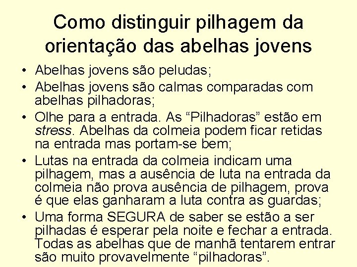 Como distinguir pilhagem da orientação das abelhas jovens • Abelhas jovens são peludas; •