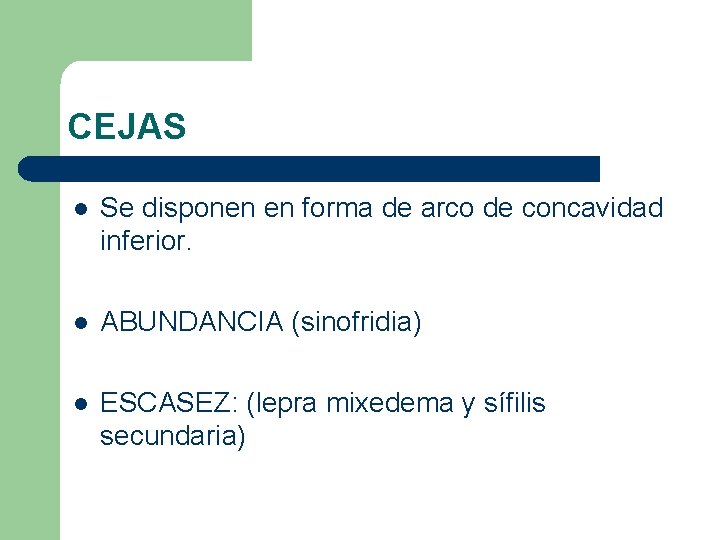 CEJAS l Se disponen en forma de arco de concavidad inferior. l ABUNDANCIA (sinofridia)