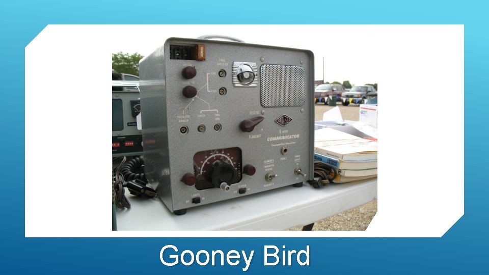 Gooney Bird 