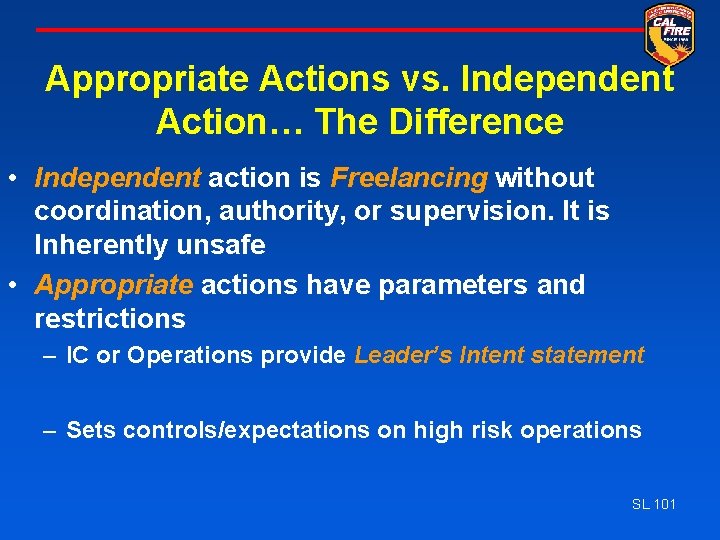 Appropriate Actions vs. Independent Action… The Difference • Independent action is Freelancing without coordination,