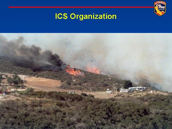 ICS Organization 