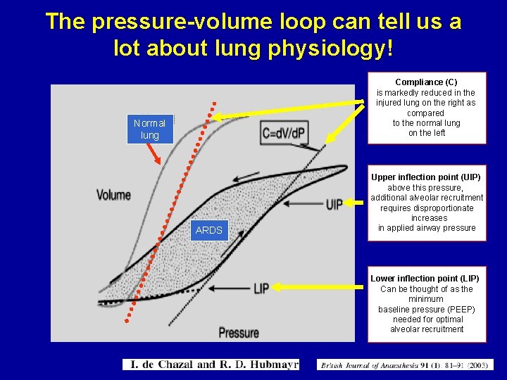 The pressure-volume loop can tell us a lot about lung physiology! Compliance (C) is