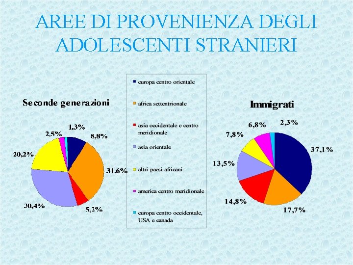 AREE DI PROVENIENZA DEGLI ADOLESCENTI STRANIERI 