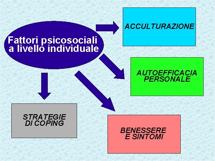 ACCULTURAZIONE Fattori psicosociali a livello individuale AUTOEFFICACIA PERSONALE STRATEGIE DI COPING BENESSERE E SINTOMI