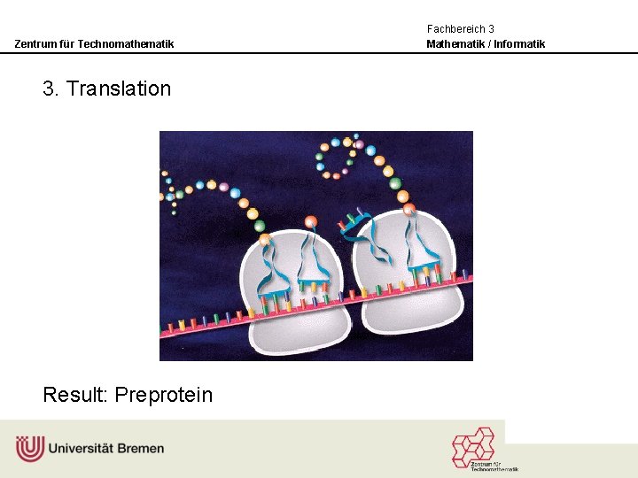 Zentrum für Technomathematik 3. Translation Result: Preprotein Fachbereich 3 Mathematik / Informatik 