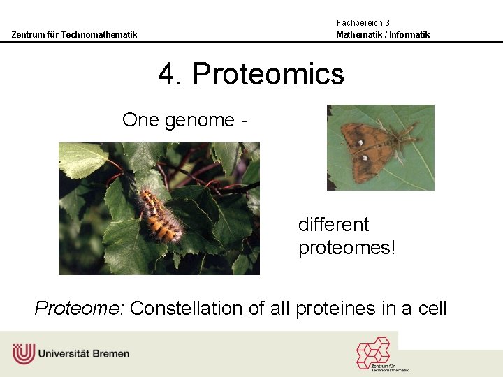 Fachbereich 3 Mathematik / Informatik Zentrum für Technomathematik 4. Proteomics One genome - different