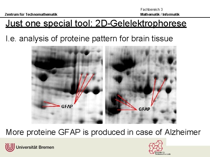 Zentrum für Technomathematik Fachbereich 3 Mathematik / Informatik Just one special tool: 2 D-Gelelektrophorese