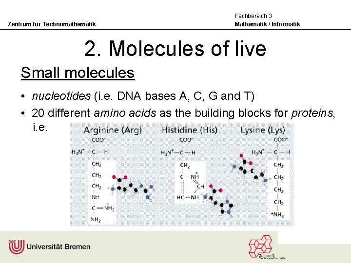 Zentrum für Technomathematik Fachbereich 3 Mathematik / Informatik 2. Molecules of live Small molecules