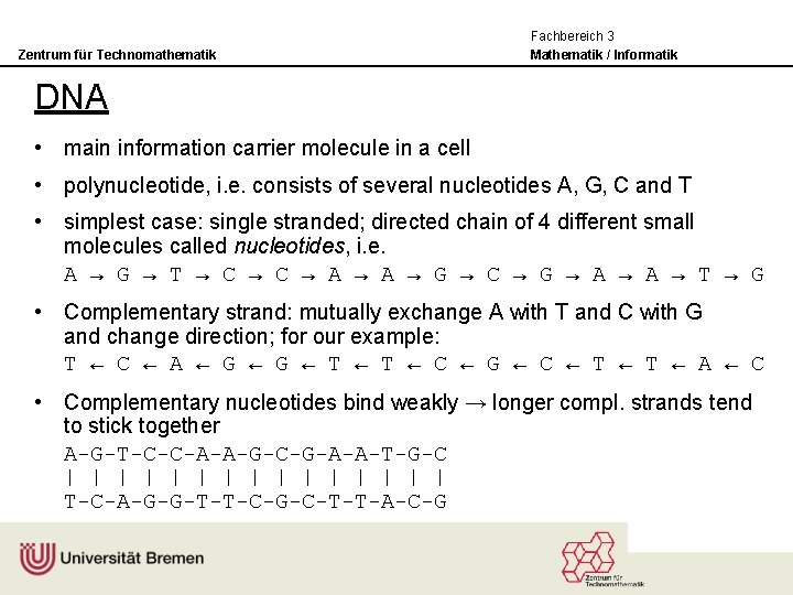 Zentrum für Technomathematik Fachbereich 3 Mathematik / Informatik DNA • main information carrier molecule