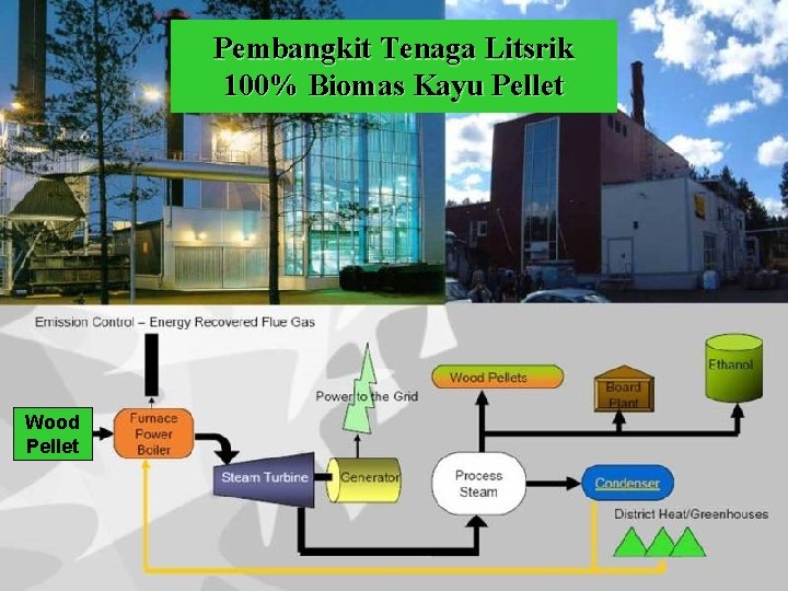 Pembangkit Tenaga Litsrik 100% Biomas Kayu Pellet Wood Pellet 