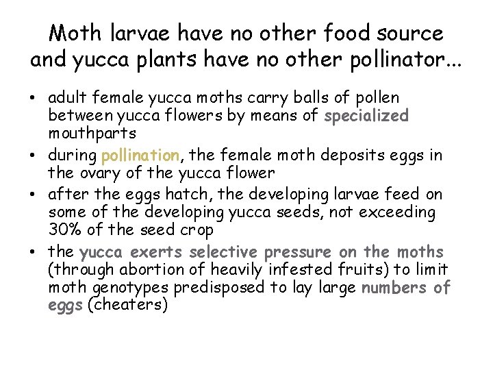 Moth larvae have no other food source and yucca plants have no other pollinator.