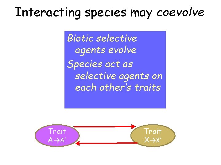 Interacting species may coevolve Biotic selective agents evolve Species act as selective agents on