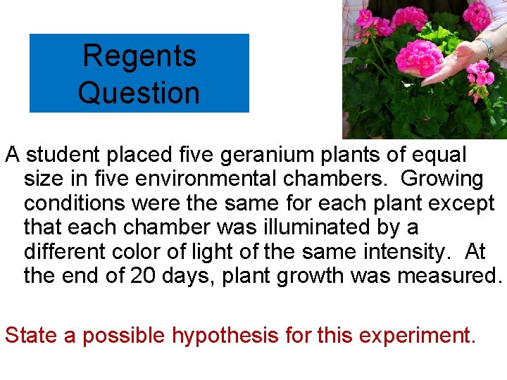 Regents Question A student placed five geranium plants of equal size in five environmental