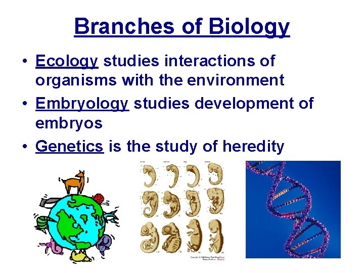 Branches of Biology • Ecology studies interactions of organisms with the environment • Embryology