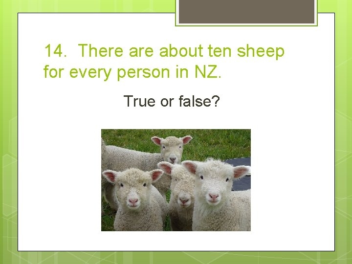 14. There about ten sheep for every person in NZ. True or false? 