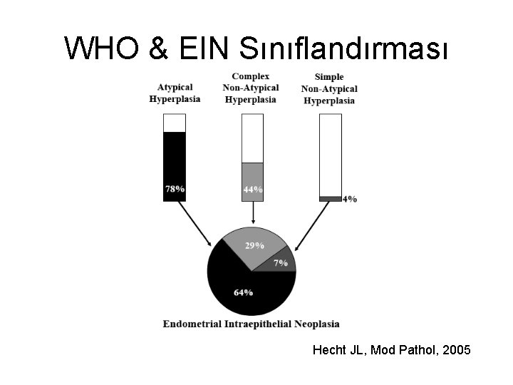 WHO & EIN Sınıflandırması Hecht JL, Mod Pathol, 2005 