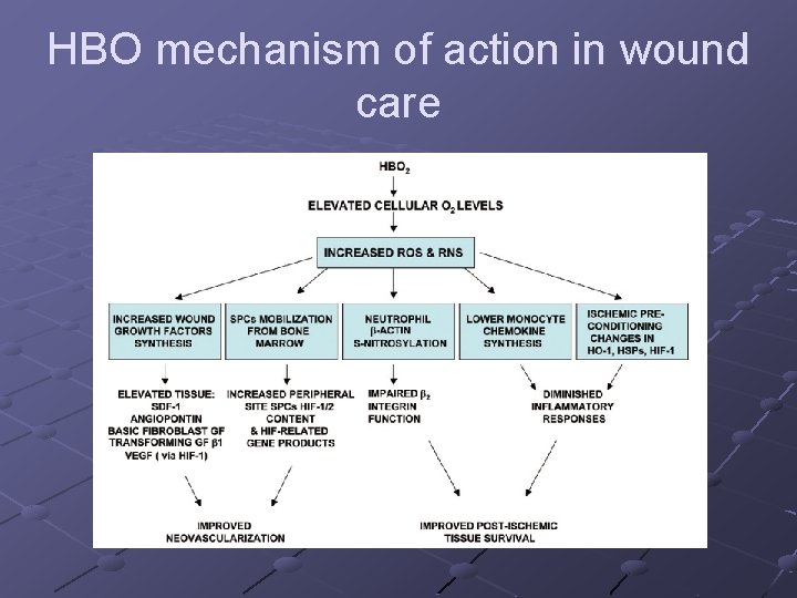 HBO mechanism of action in wound care 