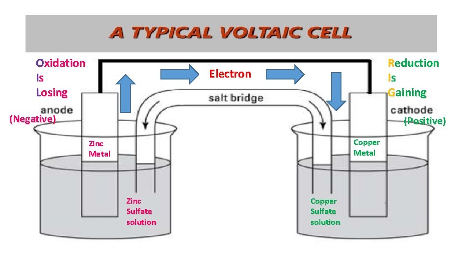 Oxidation Is Losing Reduction Is Gaining Electron (Negative) (Positive) Copper Metal Zinc Sulfate solution