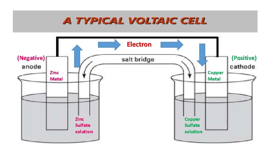 (Negative) (Positive) Copper Metal Zinc Sulfate solution Copper Sulfate solution 