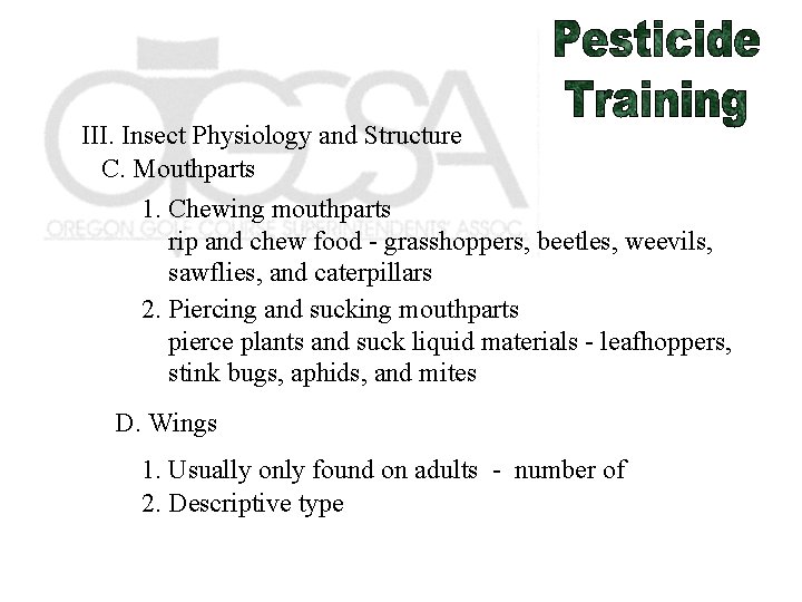 III. Insect Physiology and Structure C. Mouthparts 1. Chewing mouthparts rip and chew food