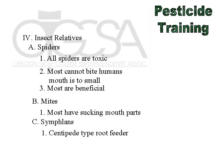 IV. Insect Relatives A. Spiders 1. All spiders are toxic 2. Most cannot bite