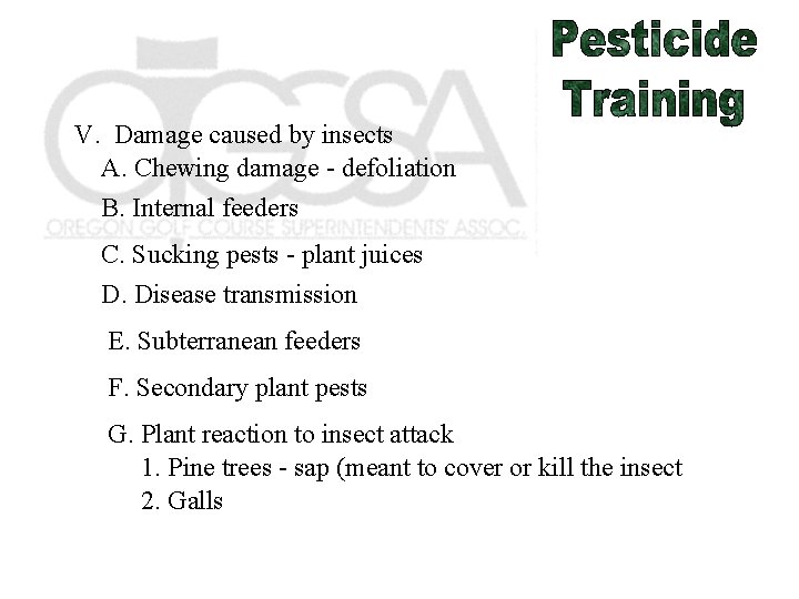 V. Damage caused by insects A. Chewing damage - defoliation B. Internal feeders C.