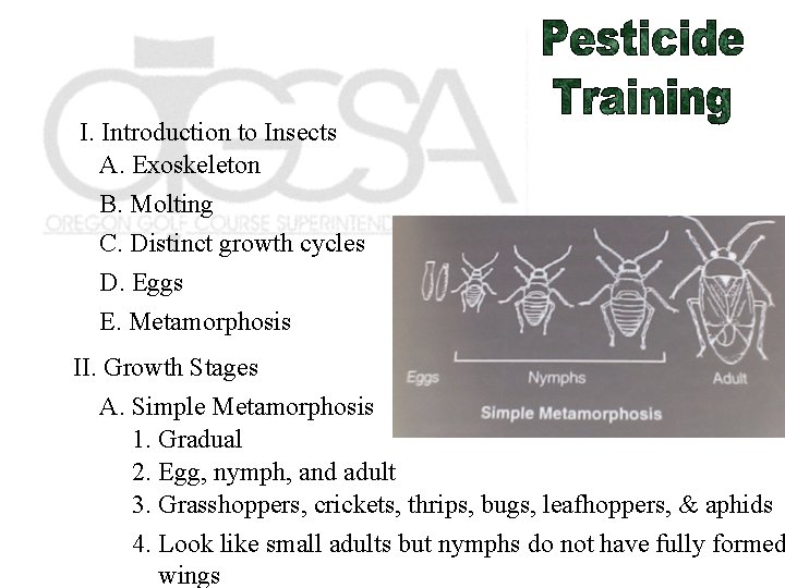 I. Introduction to Insects A. Exoskeleton B. Molting C. Distinct growth cycles D. Eggs