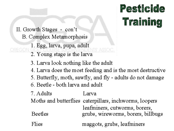 II. Growth Stages - con’t B. Complex Metamorphosis 1. Egg, larva, pupa, adult 2.