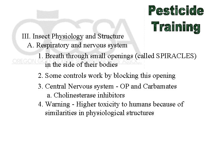 III. Insect Physiology and Structure A. Respiratory and nervous system 1. Breath through small