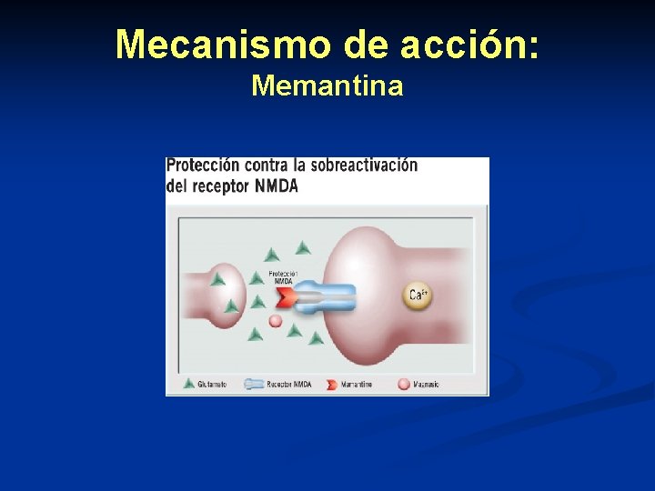 Mecanismo de acción: Memantina Mecanismo de acción: Memantina