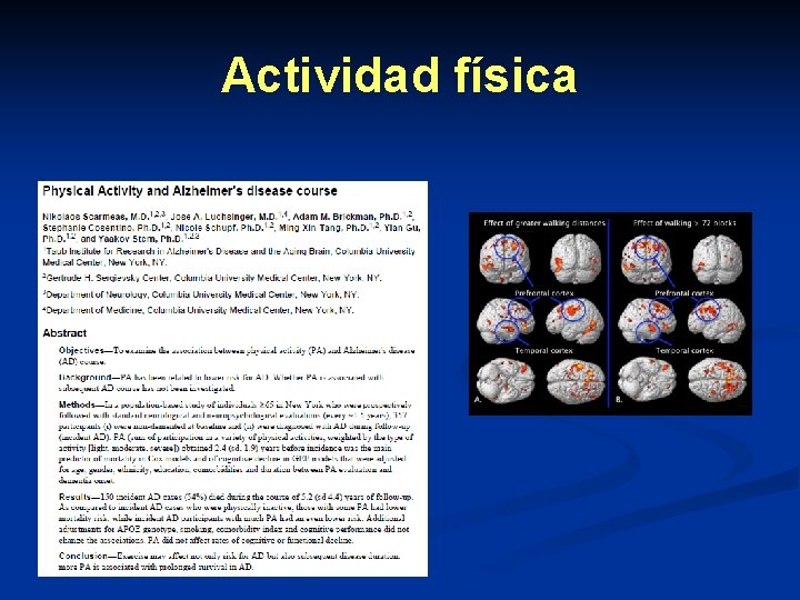 Actividad física Actividad física