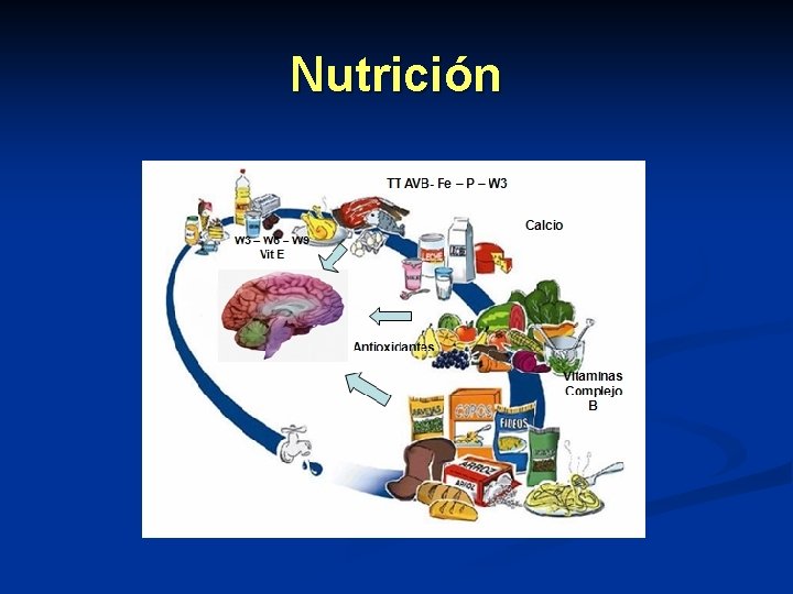 Nutrición Nutrición