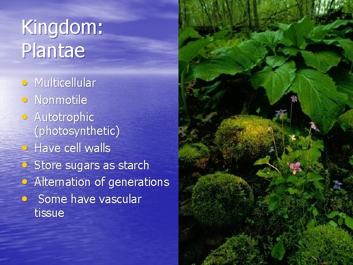 Kingdom: Plantae • Multicellular • Nonmotile • Autotrophic • • (photosynthetic) Have cell walls