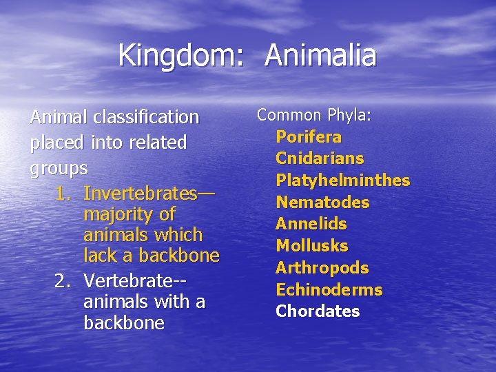 Kingdom: Animalia Animal classification placed into related groups 1. Invertebrates— majority of animals which