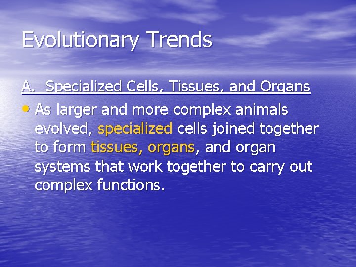 Evolutionary Trends A. Specialized Cells, Tissues, and Organs • As larger and more complex