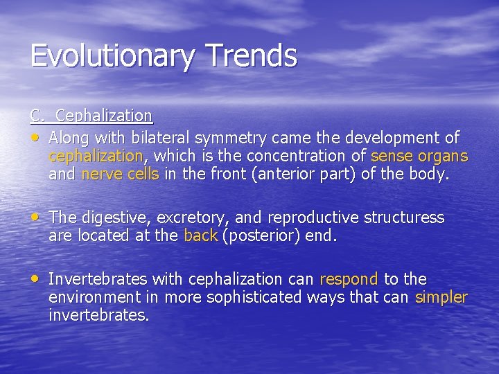 Evolutionary Trends C. Cephalization • Along with bilateral symmetry came the development of cephalization,