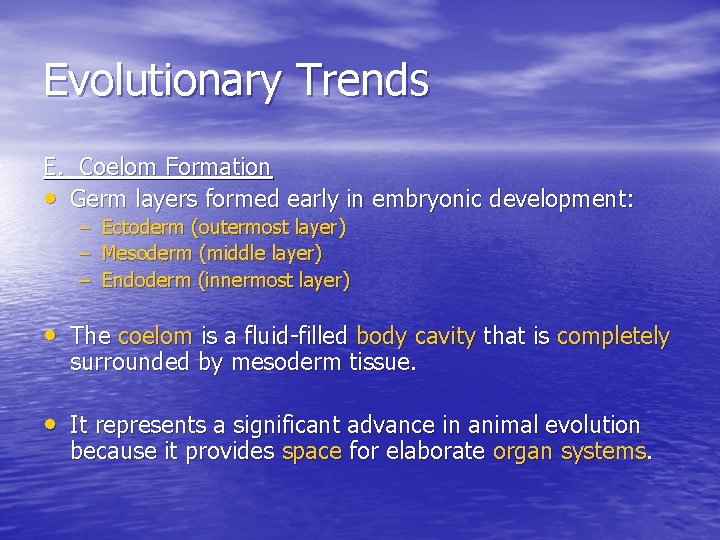 Evolutionary Trends E. Coelom Formation • Germ layers formed early in embryonic development: –