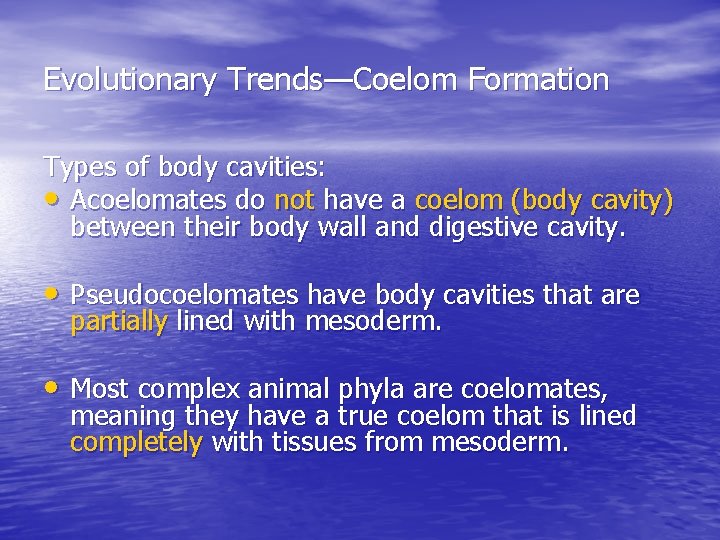 Evolutionary Trends—Coelom Formation Types of body cavities: • Acoelomates do not have a coelom