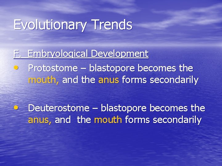 Evolutionary Trends F. Embryological Development • Protostome – blastopore becomes the mouth, and the