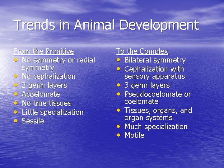 Trends in Animal Development From the Primitive • No symmetry or radial symmetry •