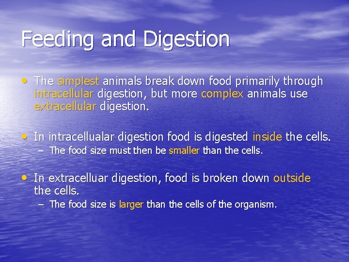 Feeding and Digestion • The simplest animals break down food primarily through intracellular digestion,