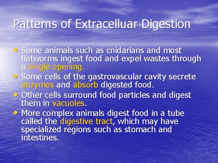 Patterns of Extracelluar Digestion • Some animals such as cnidarians and most • •