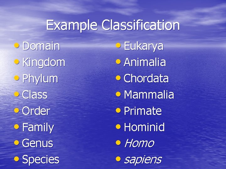 Example Classification • Domain • Eukarya • Kingdom • Animalia • Phylum • Chordata
