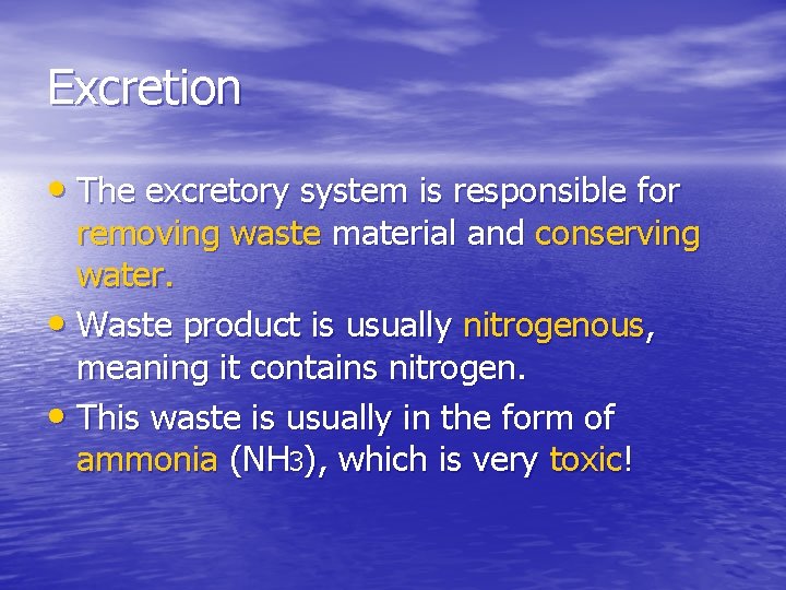 Excretion • The excretory system is responsible for removing waste material and conserving water.