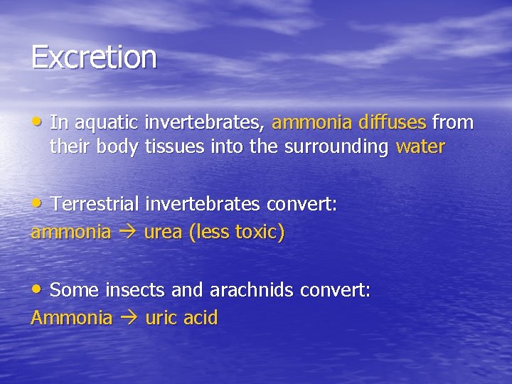 Excretion • In aquatic invertebrates, ammonia diffuses from their body tissues into the surrounding