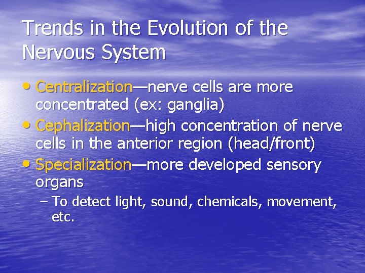 Trends in the Evolution of the Nervous System • Centralization—nerve cells are more concentrated