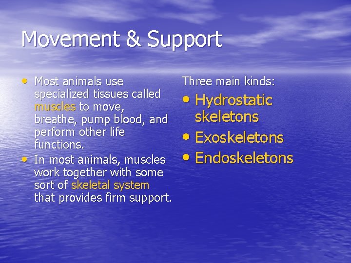 Movement & Support • Most animals use Three main kinds: • skeletons • Exoskeletons