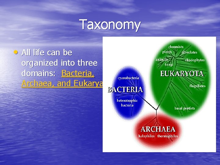 Taxonomy • All life can be organized into three domains: Bacteria, Archaea, and Eukarya.