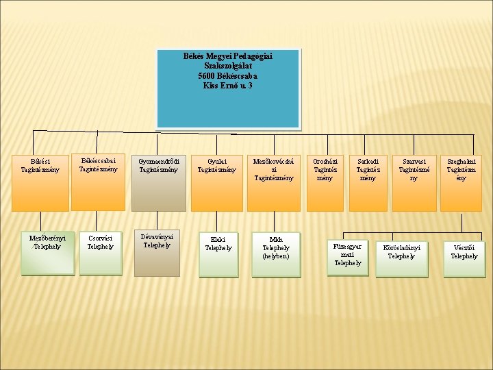 Békés Megyei Pedagógiai Szakszolgálat 5600 Békéscsaba Kiss Ernő u. 3 Békési Tagintézmény Mezőberényi Telephely